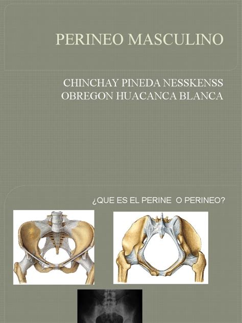 Perineo masculino: por qué ellos sienten tanto placer en